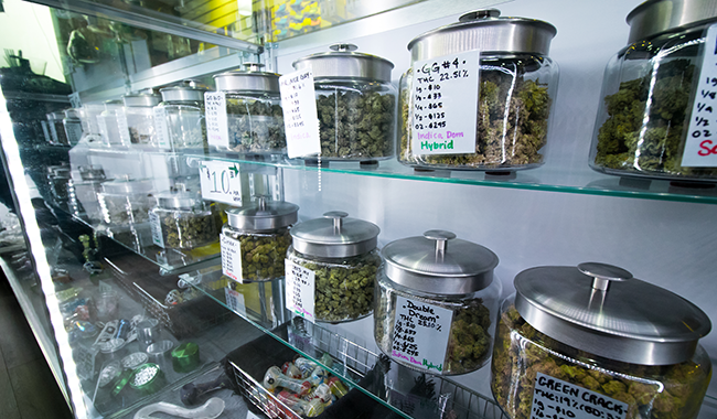 Marijuana dispensary with jars of marijuana on shelves